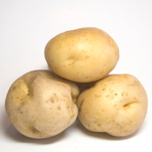 potato potato