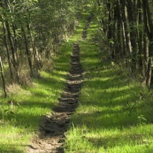 The Path Not Taken: everything that can go wrong with a path