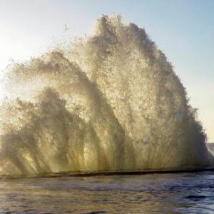 RisingWave, PHP, and the Streaming Database Idea 